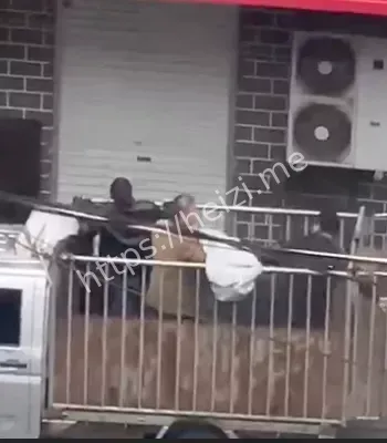 洛阳幼童高空坠落惊魂