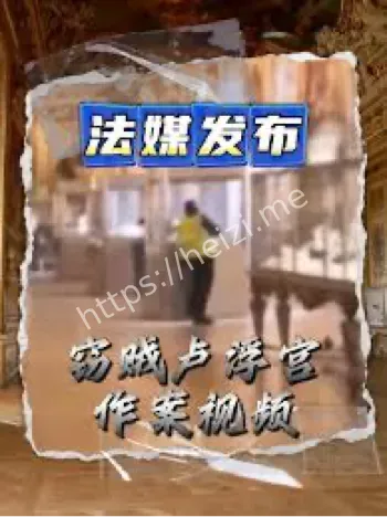 卢浮宫作案视频曝光